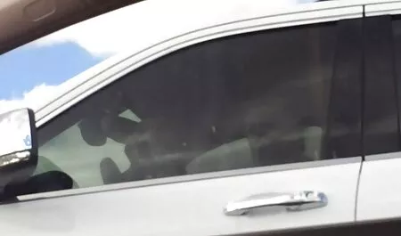 Chico polla veteranas zorras penetra la boca caliente de los jóvenes para una mamada de calidad