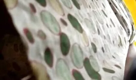 Una gran polla libras de una joven rubia veteranas en hilo dental duro en la boca y el coño de perrito en la cocina