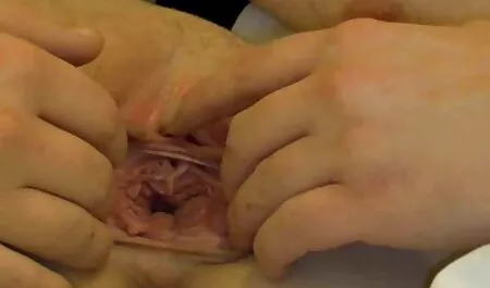 Video casero de una veteranas fogosas joven morena cumming orgasmo mientras se masturba