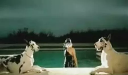 Estrellas porno masturbarse el coño veteranas redtube y calmar su calor