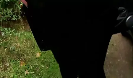 Dos lesbianas embestida encantador con veteranas peludas un decente orgasmo